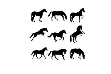 icon design