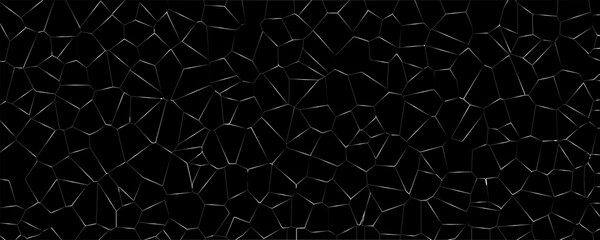 Dynamic Abstract Network with Intricate Digital Fractal Details

