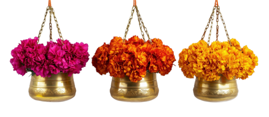 Floral Trio in Golden Pots: A vibrant display of three hanging golden pots overflowing with a riot of colorful flowers. A visual celebration of freshness, beauty, and nature's bounty. 