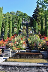 Schön angelegte Blumen