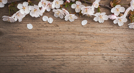 Spring Blossom Branches on Rustic Wooden Background Floral Border Springtime Nature