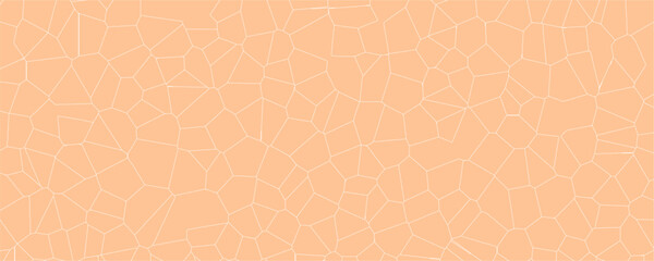 Contemporary Mosaic Design with Complex Algorithmic Fractures

