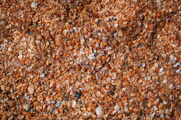 background sand texture