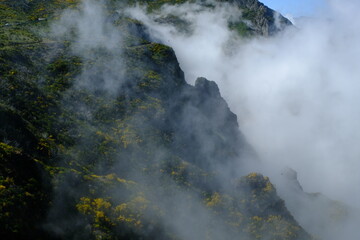 waterfall in iceland