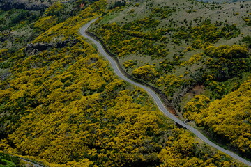 aerial view of the road