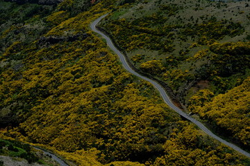 aerial view of the road