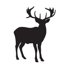 Silhouette of Deer Family, Graphic black silhouettes of wild deer's – male, female and roe deer