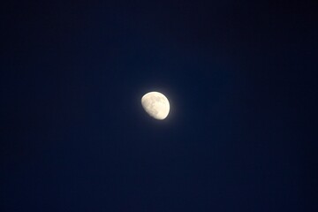 Mond