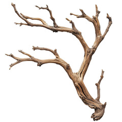 Clip Frame isolated on white background