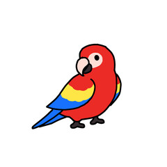 bird
