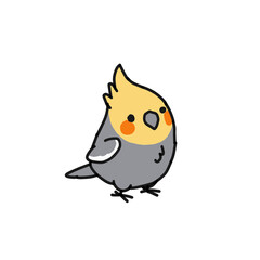 bird