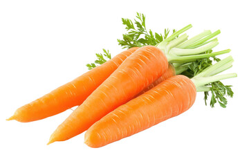 Fresh and crunchy delicious carrots with vibrant orange color isolated on transparent background
