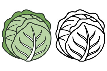 Cabbage Outline and Colored Illustration, Fresh Green Leaves, Flat Design Style
