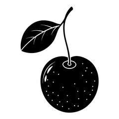 illustration of cherry