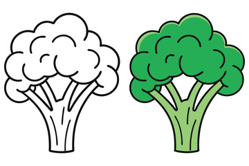 Broccoli Cartoon Fresh Green Vegetable Outline on a Transparent Background