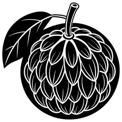 vector illustration of an apple