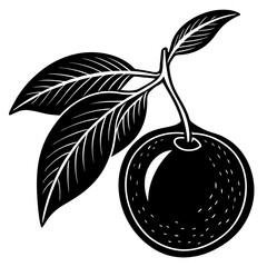 black olives vector illustration