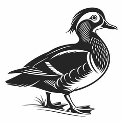 Mandarin duck black silhouette icon vector