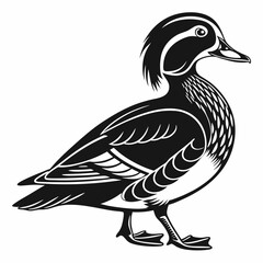 Mandarin duck black silhouette icon vector