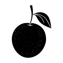 vector illustration of an apple