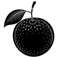 vector illustration of an apple