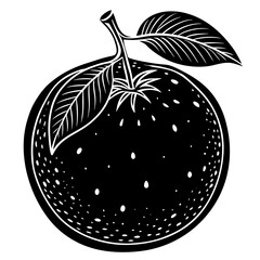 vector illustration of an apple