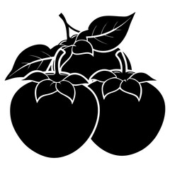 vector illustration of an apple