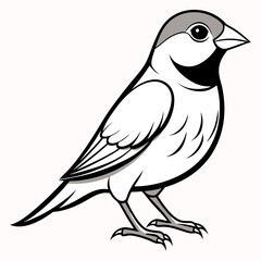 bird on a branch