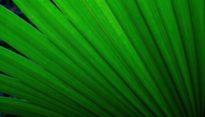 Emerald green palm frond, intricate vein detail, closeup, foliage