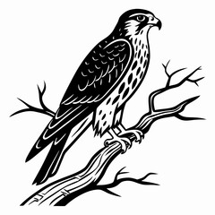 Fototapeta premium Merlin black silhouette icon vector