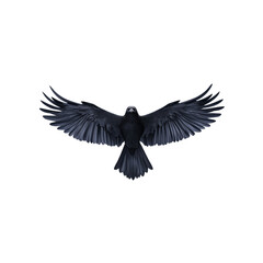 A raven glides gracefully in the sky, wings outstretched, showcasing its impressive feathers against a transparent background.