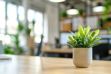 Small plant adds natural touch to office workspace promoting serenity and productivity