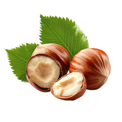 Hazelnuts with Leaves on transparent background