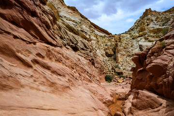 Eroded by water and wind cliffs in the canyon, Little Wild Horse Canyon, San Rafael Swell, Utah USA