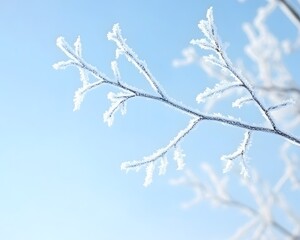 Winter Frost on Branches: Beautiful Frozen Tree Branches Against a Blue Sky