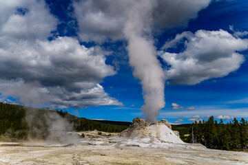 Geysers with hot water spew steam in Yellowstone National Park
