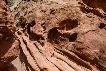 Eroded by water and wind cliffs in the canyon, Little Wild Horse Canyon, San Rafael Swell, Utah
