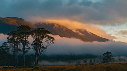 Mountain range shrouded in mist with tall trees in a peaceful landscape.