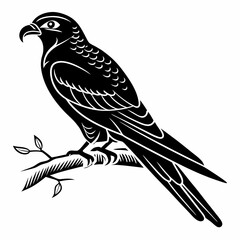 nightjar black silhouette icon vector