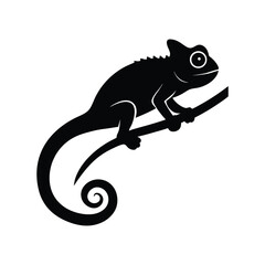 Chameleon on a Branch: A sleek silhouette of a chameleon perches elegantly on a slender branch, showcasing its unique form and distinctive features against a clean backdrop.