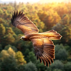 Golden Eagle Soaring Forest