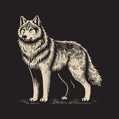 Fototapeta premium Gray Wolf Vector Illustration – Vintage Retro Logo Design on Black Background