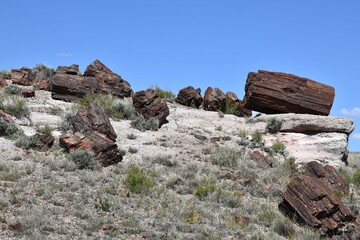 View at Petrified Forest National Park in Arizona
