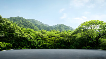 Empty Road Through Lush Green Forest Mountains Landscape