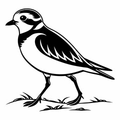 Piping plover black silhouette icon vector