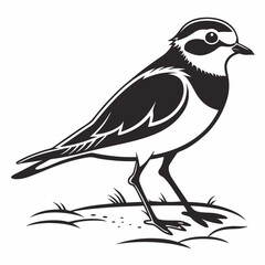 Piping plover black silhouette icon vector
