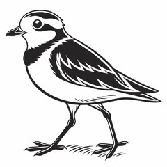 Fototapeta premium Piping plover black silhouette icon vector