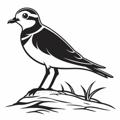 Piping plover black silhouette icon vector