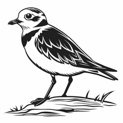 Fototapeta premium Piping plover black silhouette icon vector
