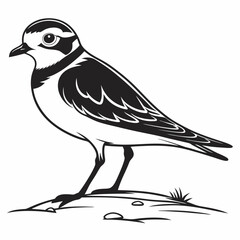 Piping plover black silhouette icon vector